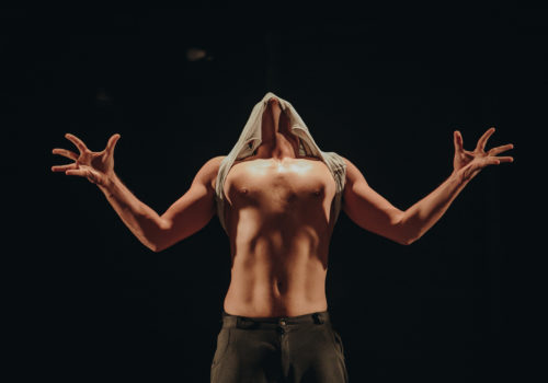 Espetáculo ‘Proibido Elefantes’, da Cia. Gira Dança (RN), encerra Etapa Nordeste do Festival Acessibilidança